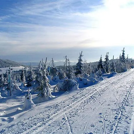 Pensionat U Smrku 3*