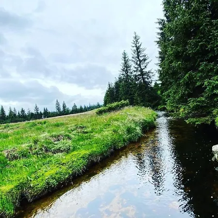 Pensionat U Smrku 3*