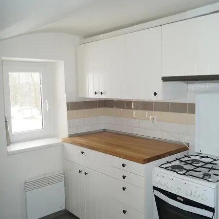 Pensionat U Smrku Horní Polubný