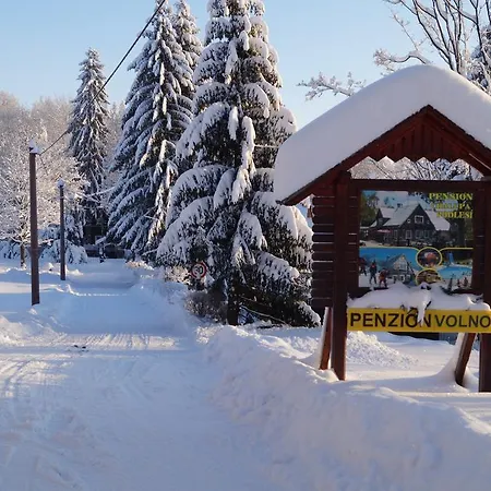 Pensionat U Smrku Horní Polubný